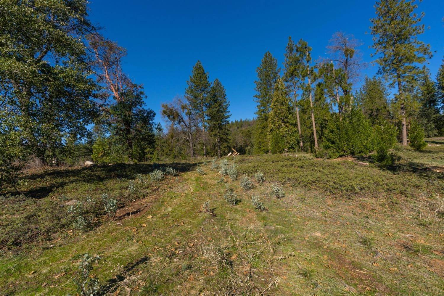 22. Land for Active at 15793 Black Prince Road Pioneer, California 95666 United States