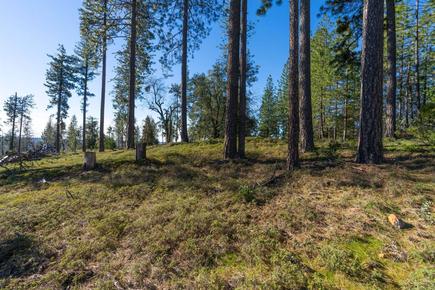 38. Land for Active at 15793 Black Prince Road Pioneer, California 95666 United States