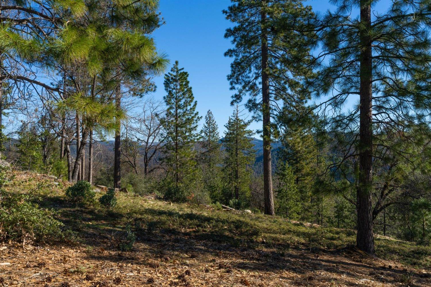 14. Land for Active at 15793 Black Prince Road Pioneer, California 95666 United States