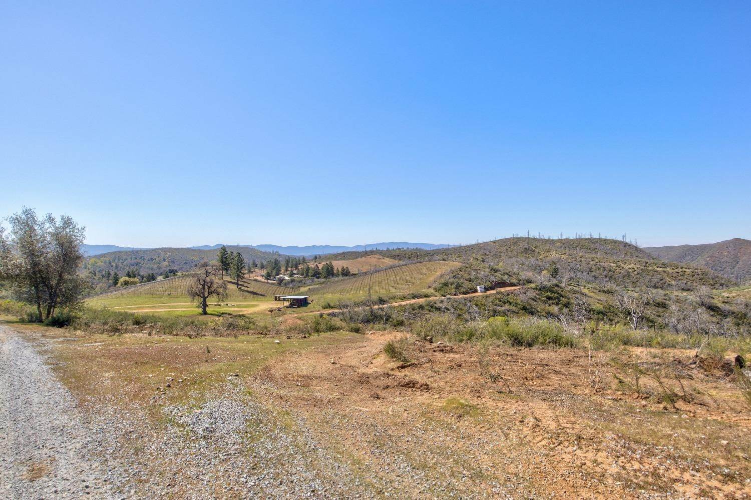 46. Land for Active at 7005 Mountain Ranch Road Mountain Ranch, California 95246 United States