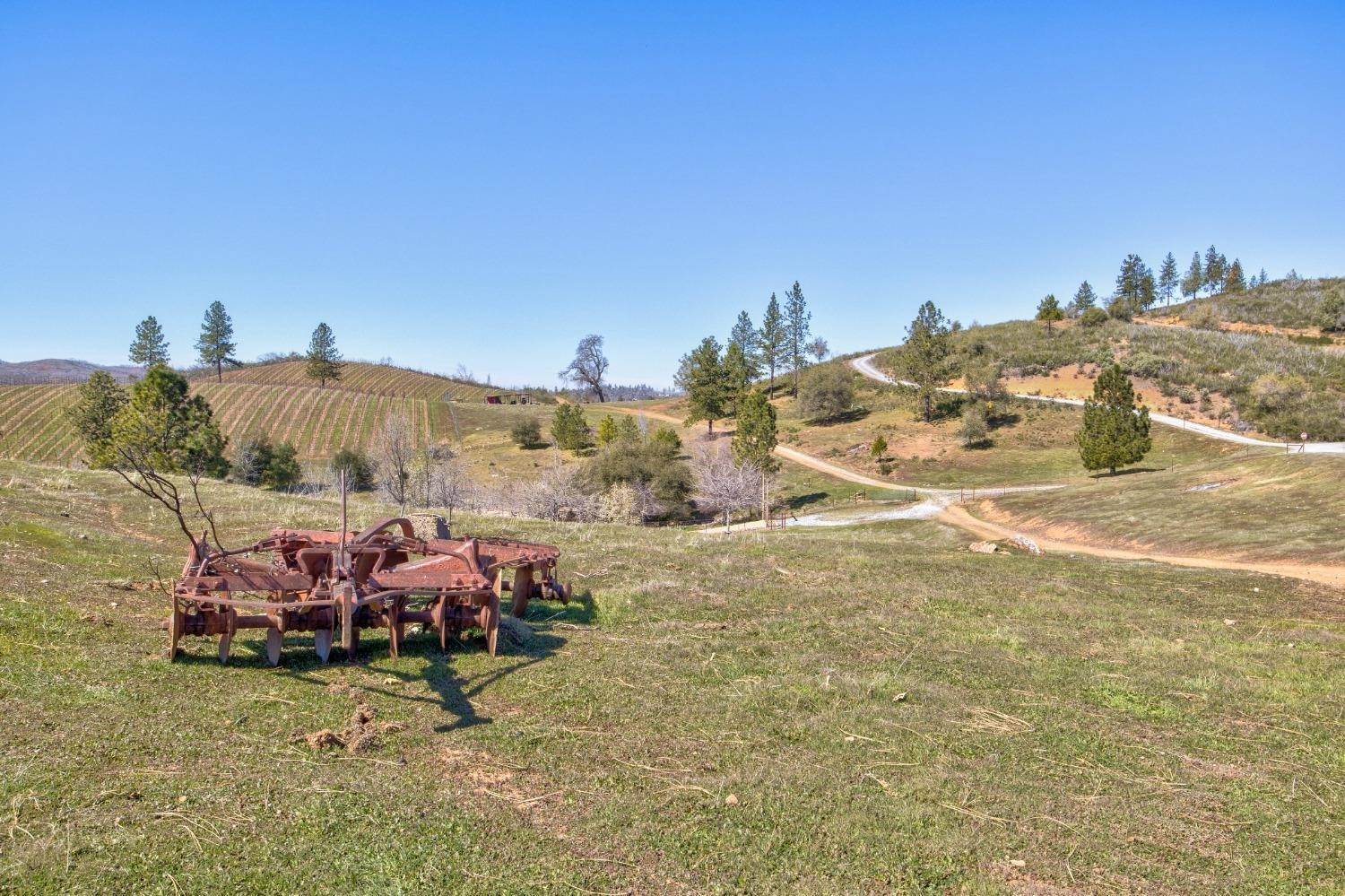 19. 土地,用地 为 销售 在 7005 Mountain Ranch Road Mountain Ranch, 加利福尼亚州 95246 美国