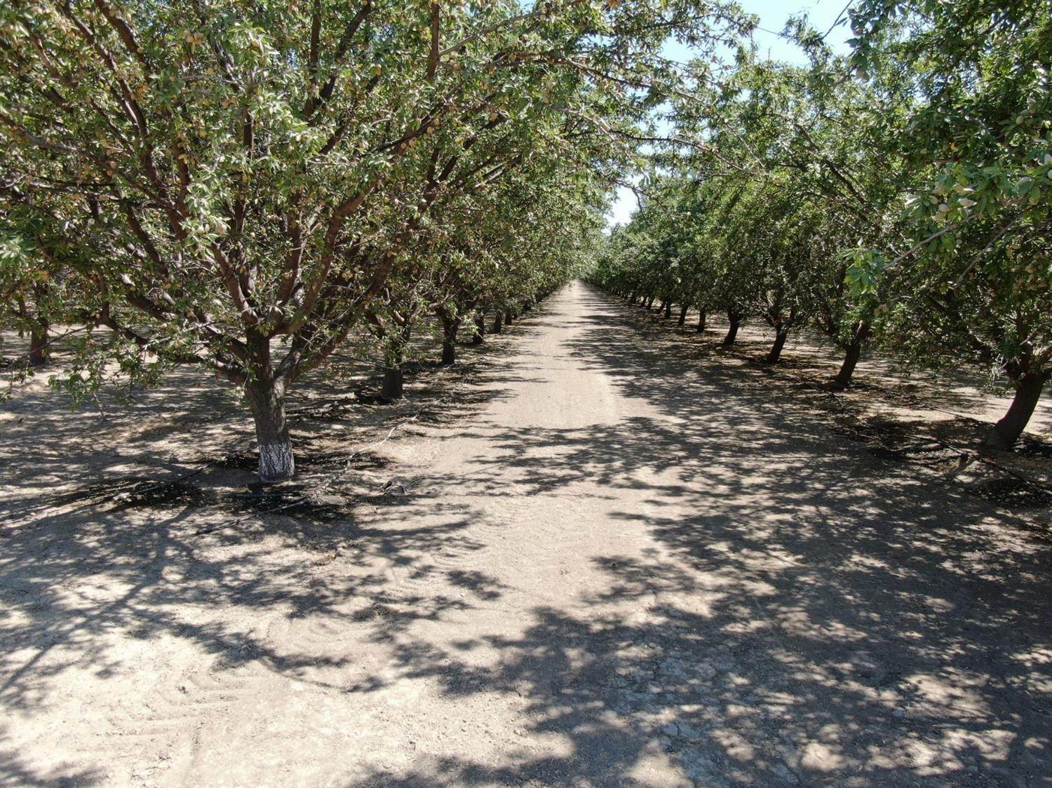 6. Agricultural Land for Active at 5286 E. Home Avenue Fresno, California 93727 United States