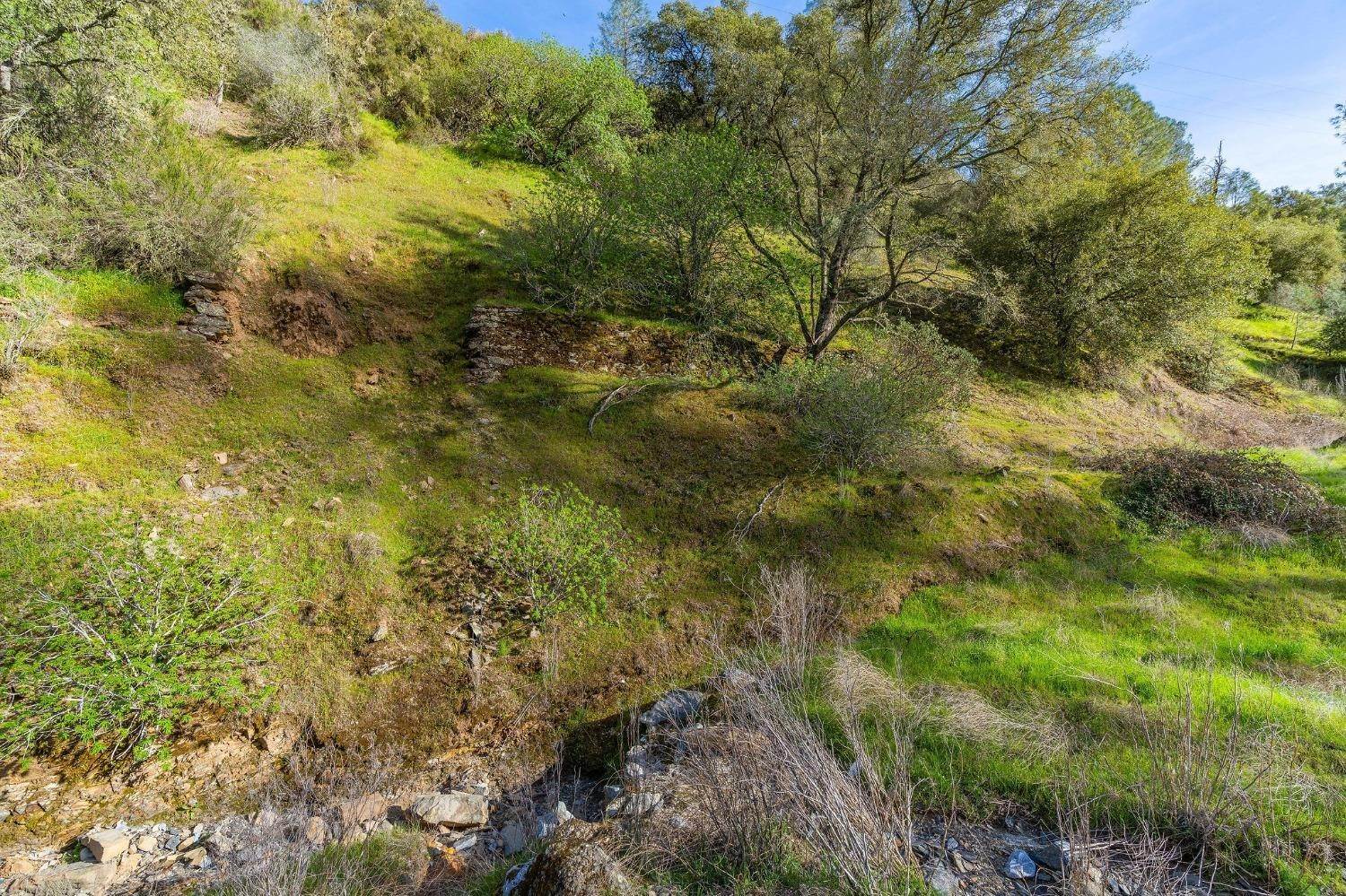 Agricultural Land por un Venta en 6890 Gwin Mine Road Valley Springs, California 95252 Estados Unidos