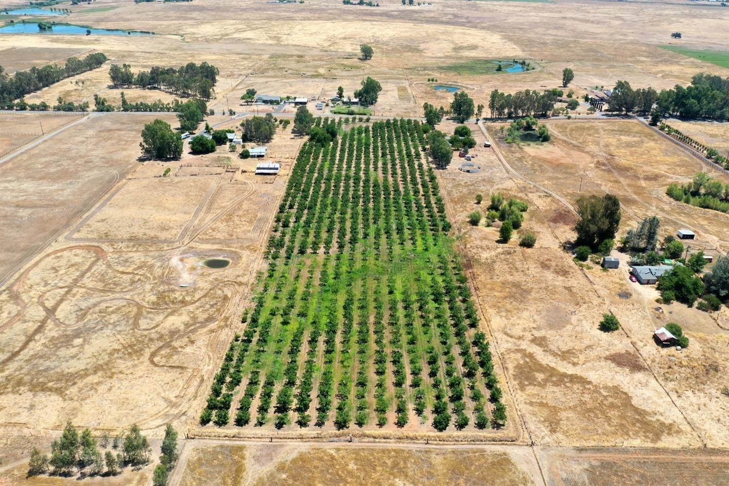 Agricultural Land 为 销售 在 3850 Karchner Road Sheridan, 加利福尼亚州 95681 美国