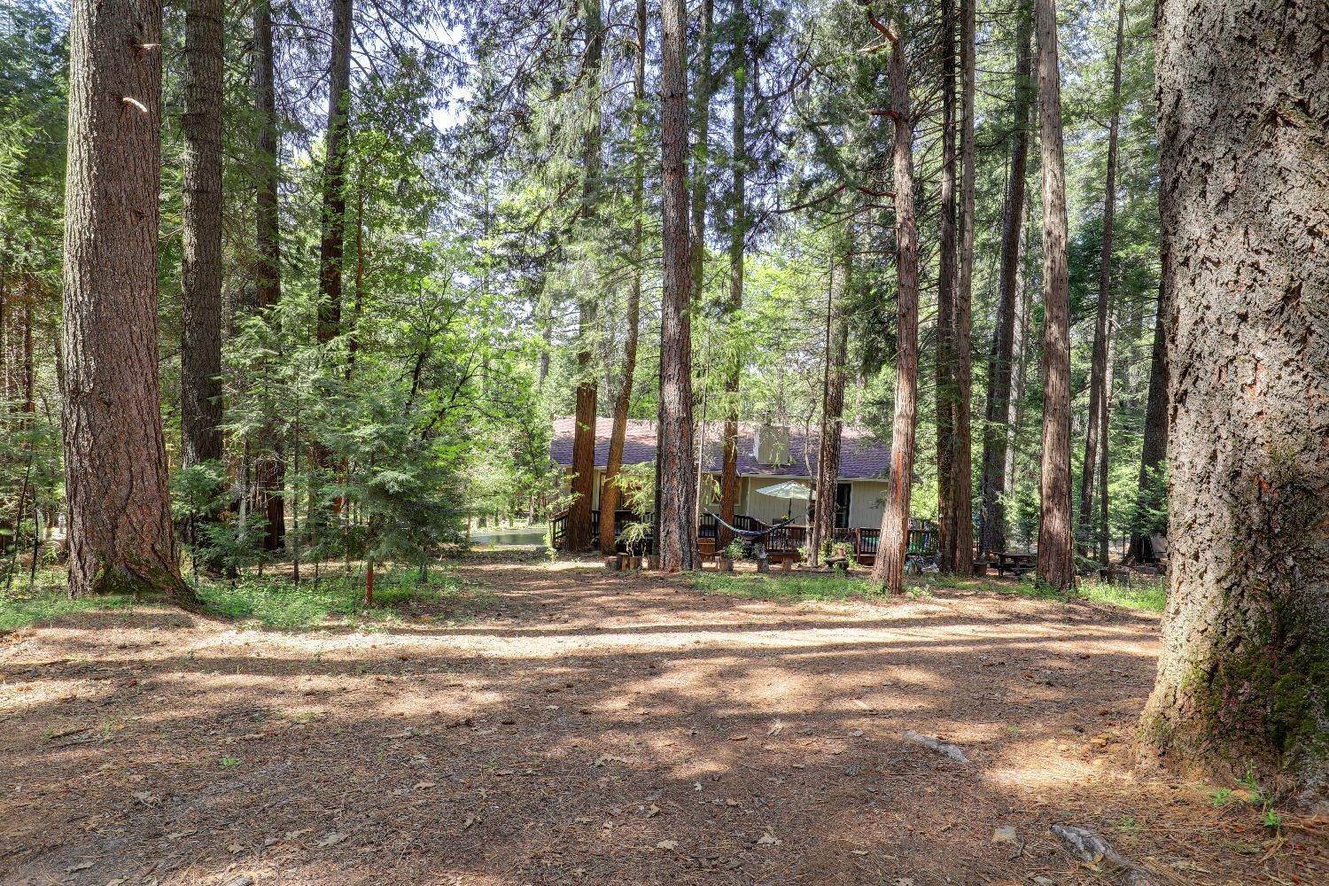 41. Single Family Homes for Active at 14581 Anchor Lane Grass Valley, California 95945 United States