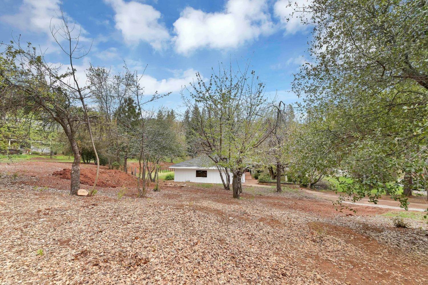 43. Single Family Homes for Active at 126 Apple Blossom Drive Murphys, California 95247 United States