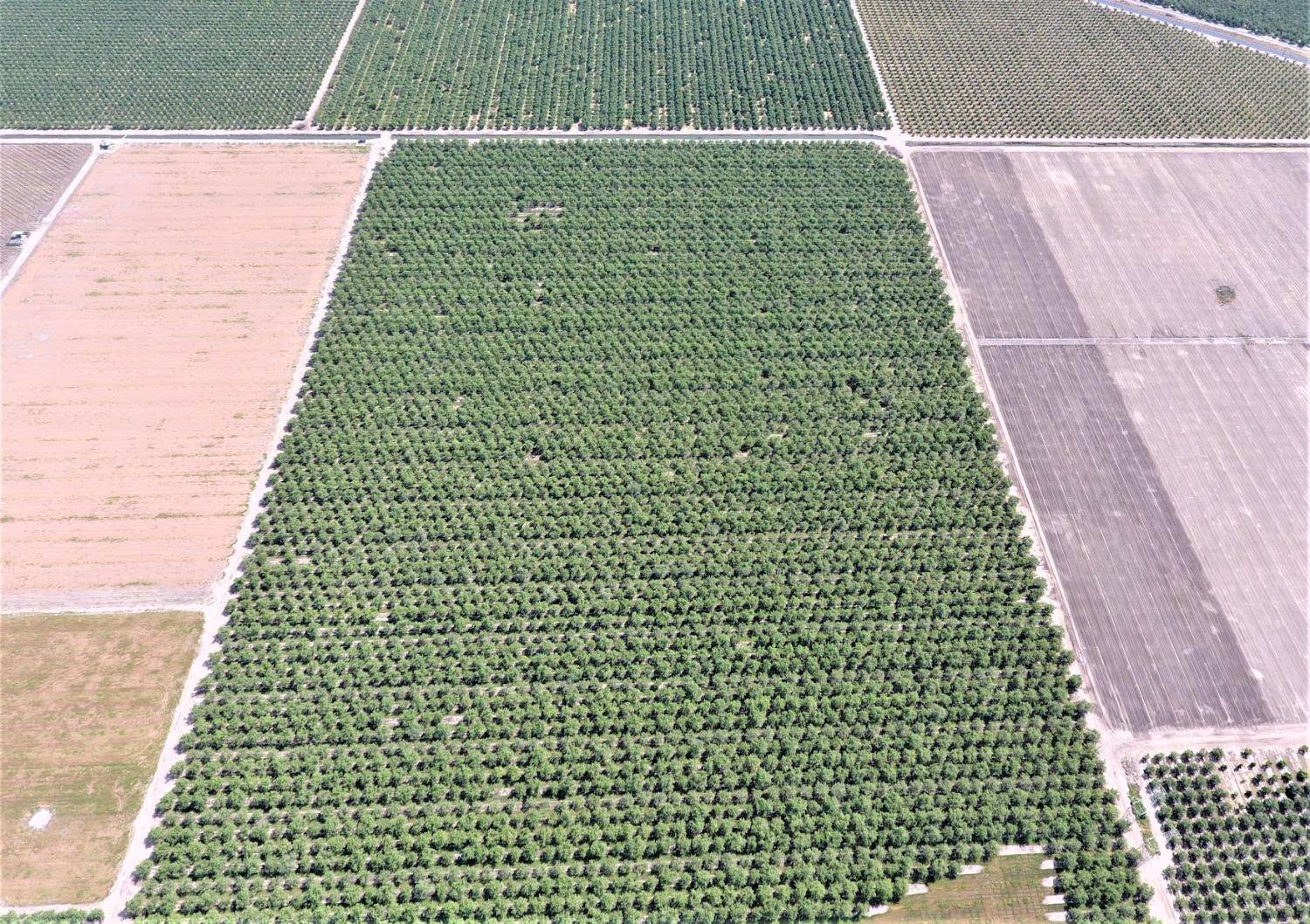 Agricultural Land 为 销售 在 15390 Lone Tree 埃斯卡隆, 加利福尼亚州 95320 美国