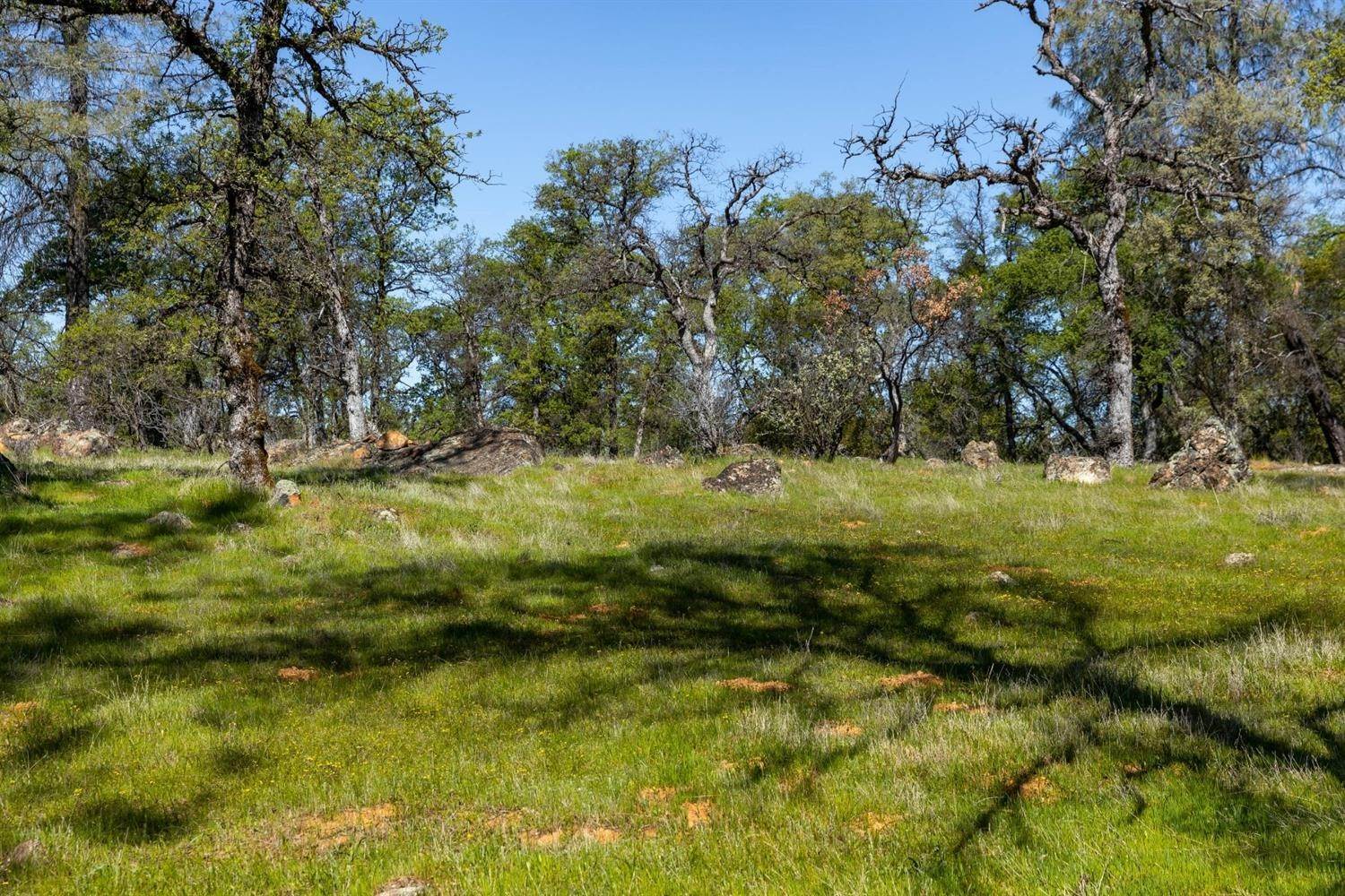 16. Land for Active at 800 Brown Gables Road Auburn, California 95603 United States