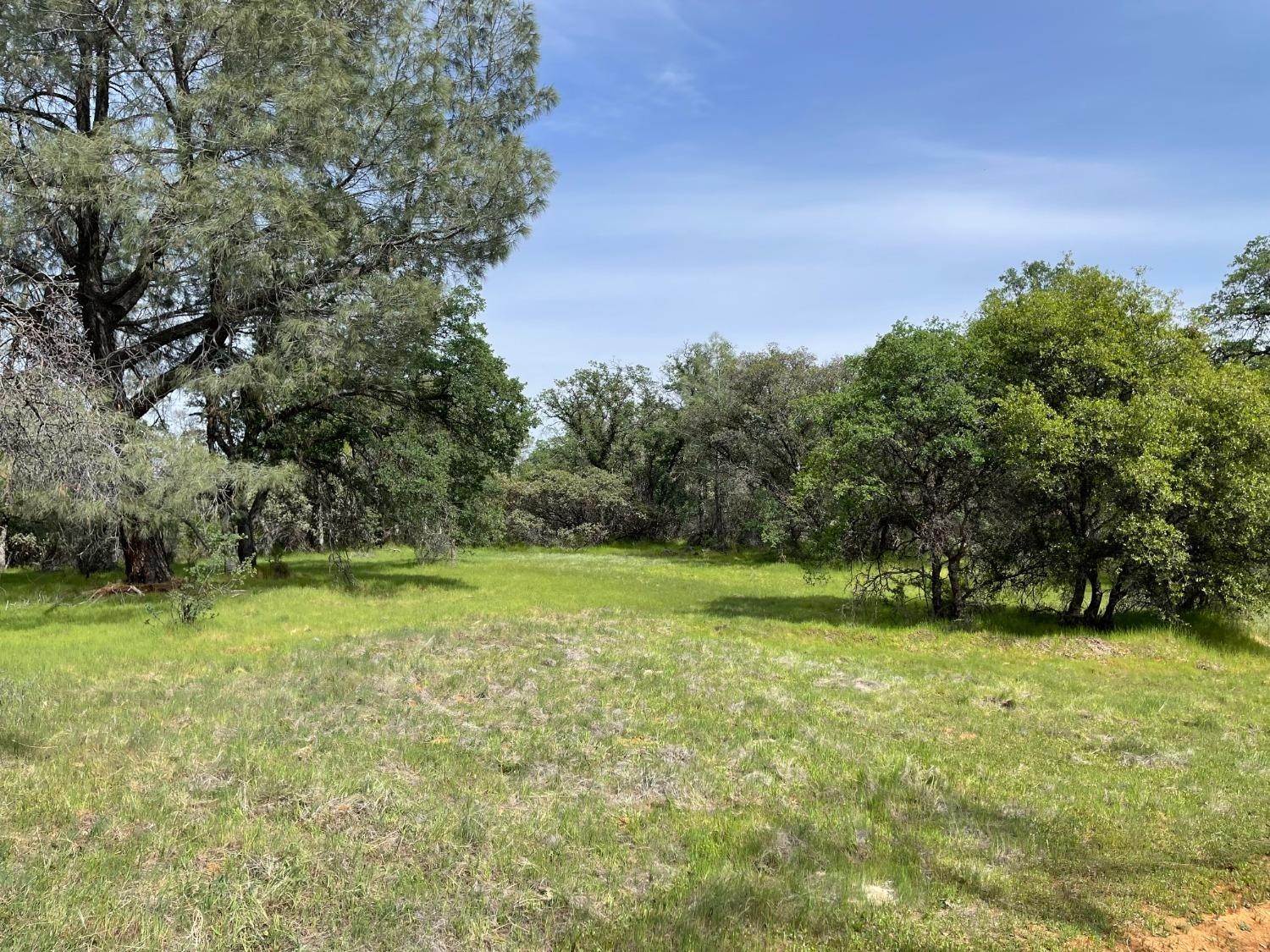 3. Agricultural Land for Active at 22677 Troost Trail North San Juan, California 95960 United States