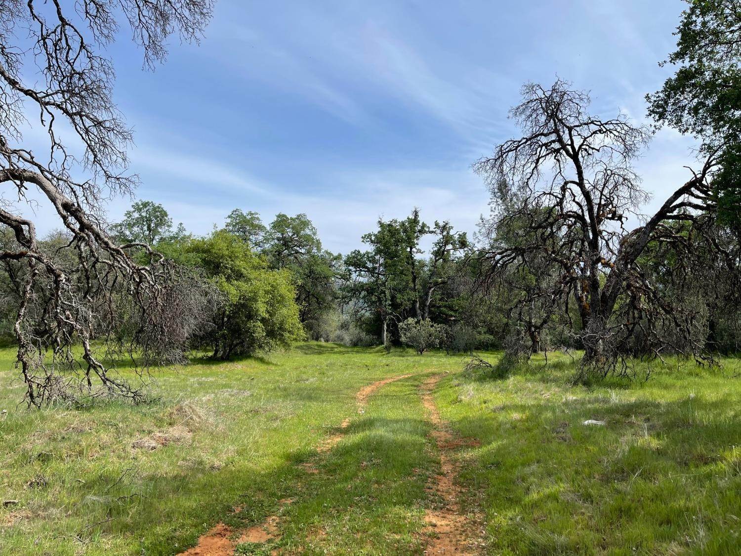 Agricultural Land for Active at 22677 Troost Trail North San Juan, California 95960 United States