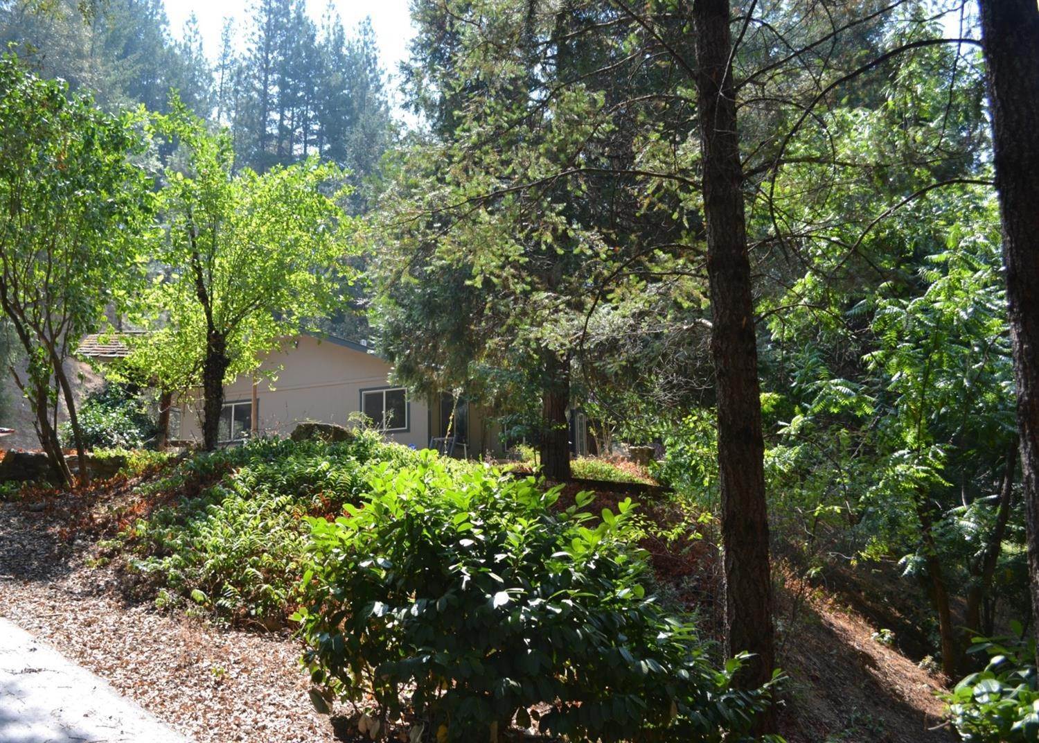 1. Single Family Homes for Active at 26160 Norton Grade Road Colfax, California 95713 United States