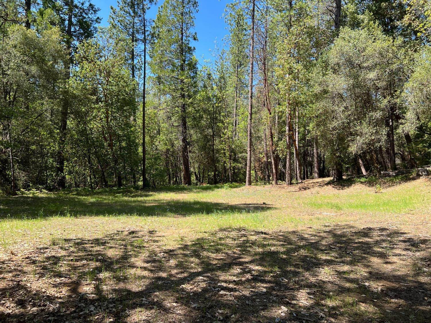8. Agricultural Land for Active at Banerian Place Nevada City, California 95959 United States