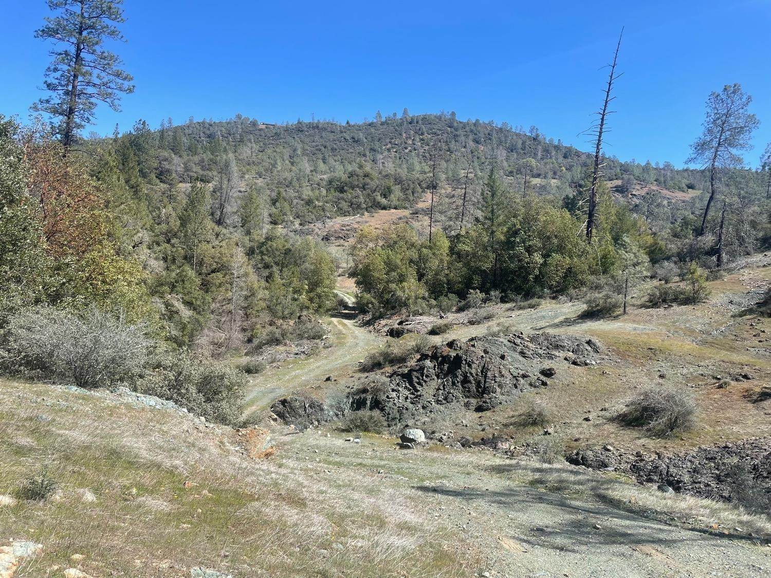 1. Agricultural Land for Active at Foresthill Road Foresthill, California 95631 United States