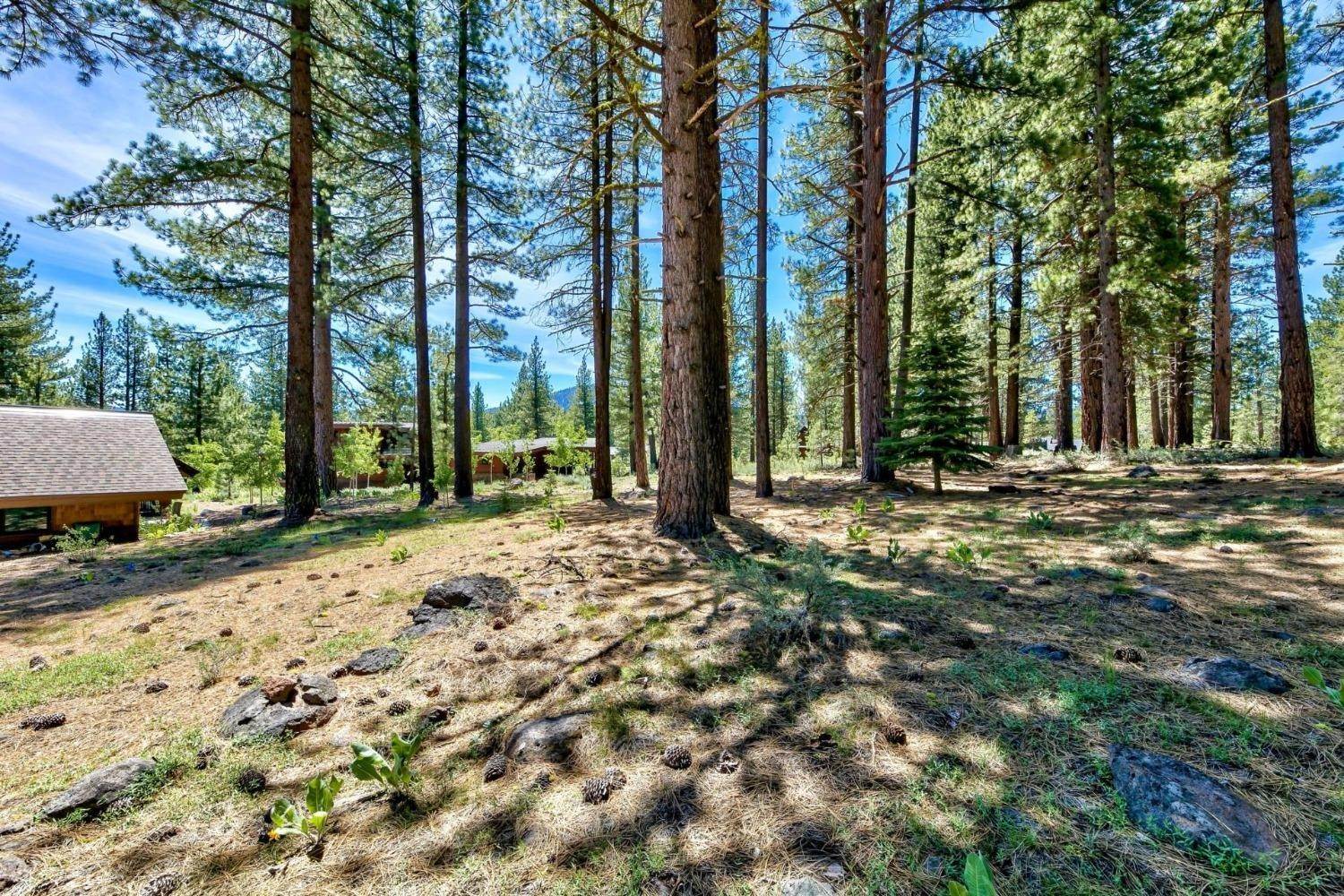 36. Land for Active at 121 James Reed Truckee, California 96161 United States