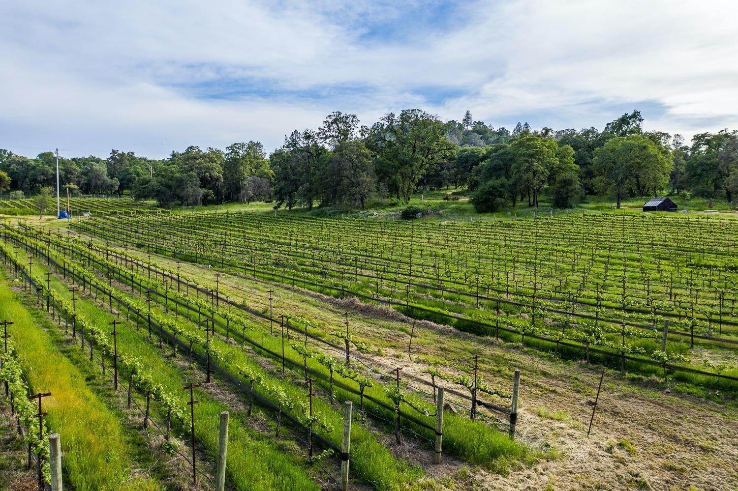 30. Agricultural Land for Active at 15174 Beyers Lane Grass Valley, California 95949 United States