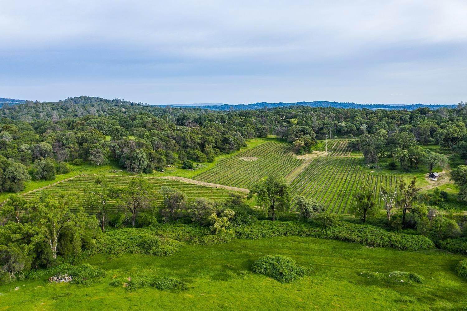 19. Agricultural Land for Active at 15174 Beyers Lane Grass Valley, California 95949 United States