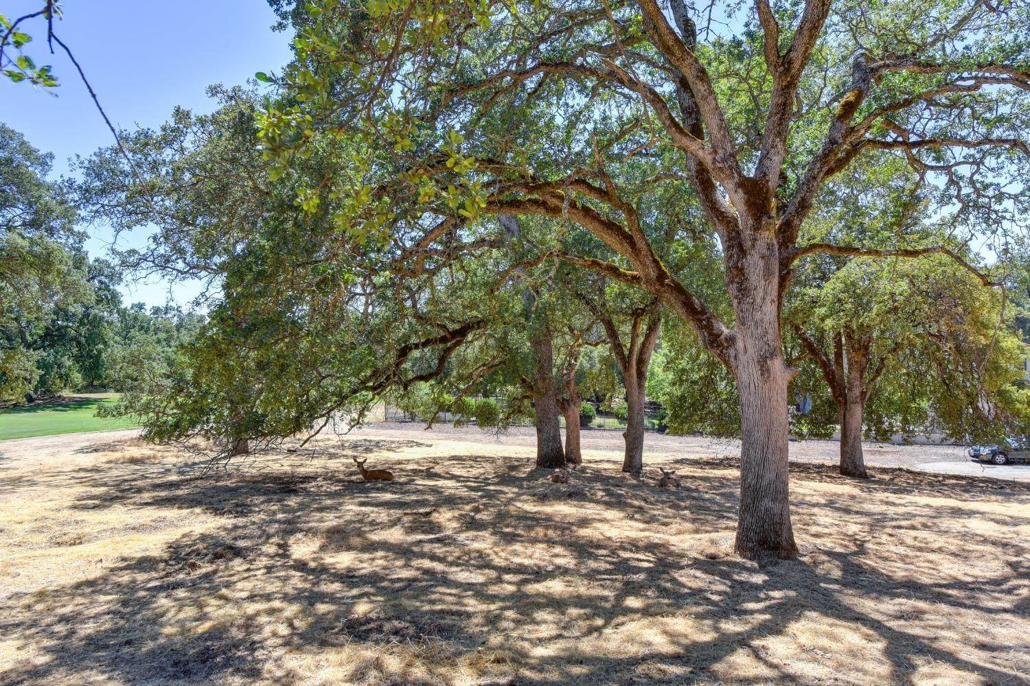 23. Land for Active at 3588 Paseo Tranquilo Lincoln, California 95648 United States
