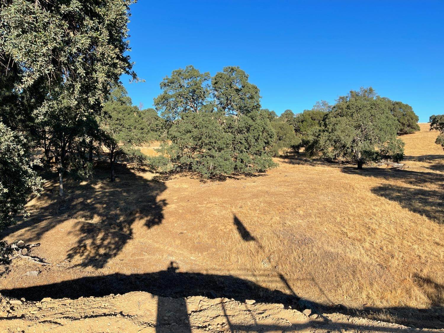 5. Agricultural Land for Active at 15300 Hwy 49 Drytown, California 95699 United States