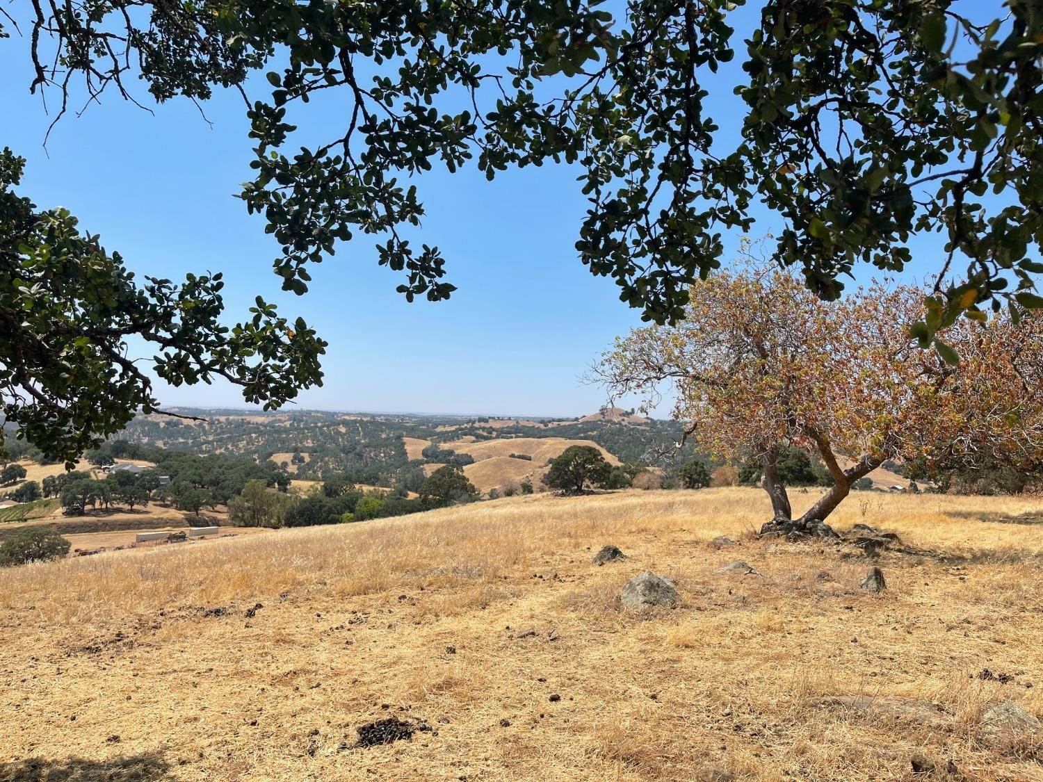 22. Agricultural Land for Active at 15300 Hwy 49 Drytown, California 95699 United States