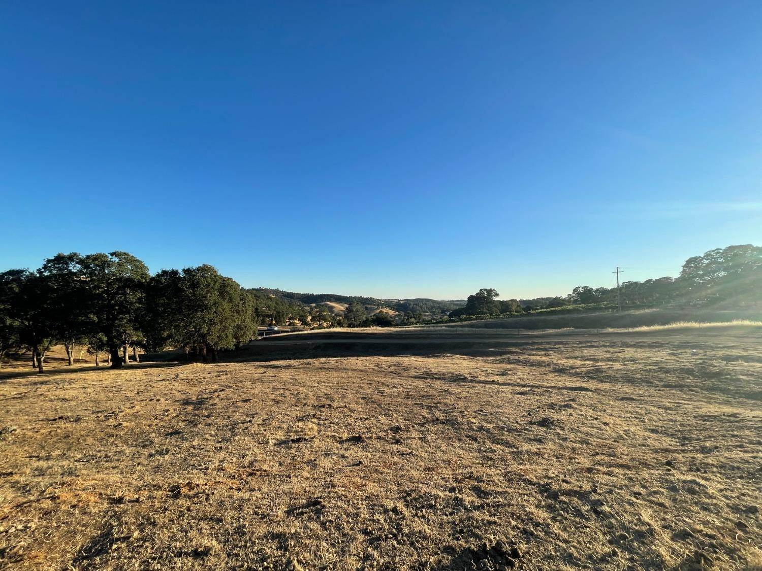 10. Agricultural Land for Active at 15300 Hwy 49 Drytown, California 95699 United States