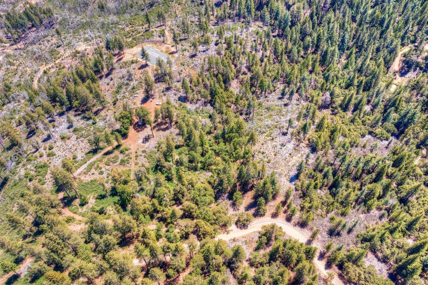2. Agricultural Land for Active at 19005 Chalk Bluff Road Grass Valley, California 95945 United States