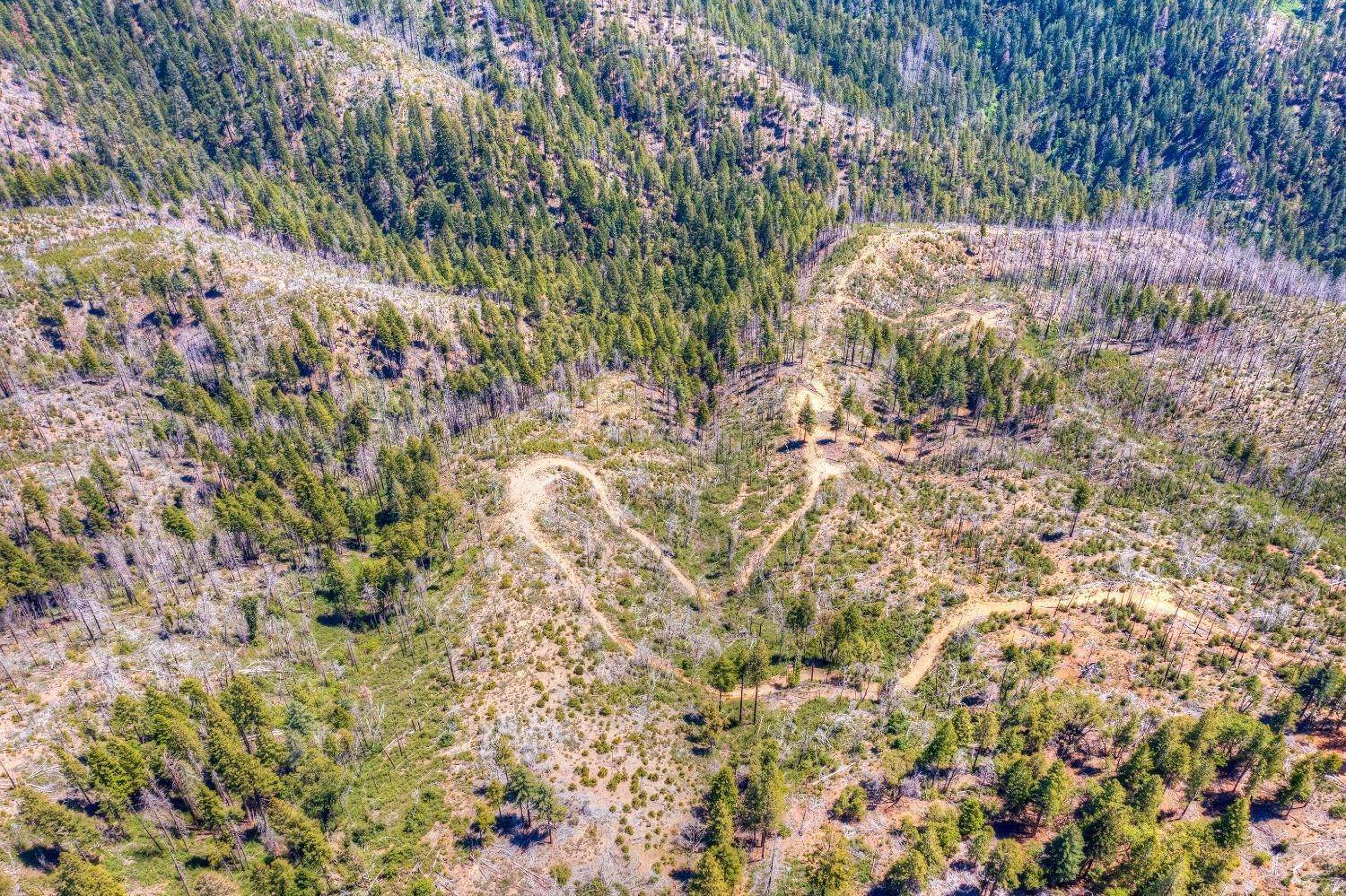 Agricultural Land for Active at 19005 Chalk Bluff Road Grass Valley, California 95945 United States