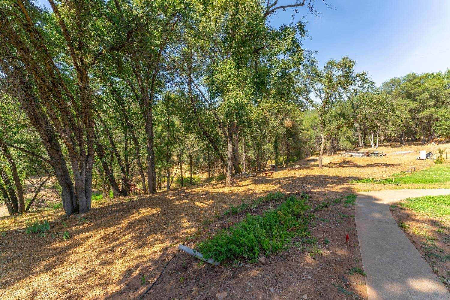 29. Single Family Homes for Active at 3931 Forty Niner Trail Placerville, California 95667 United States