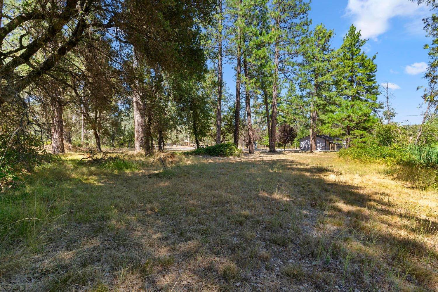 36. Single Family Homes for Active at 10762 Beckville Road Nevada City, California 95959 United States