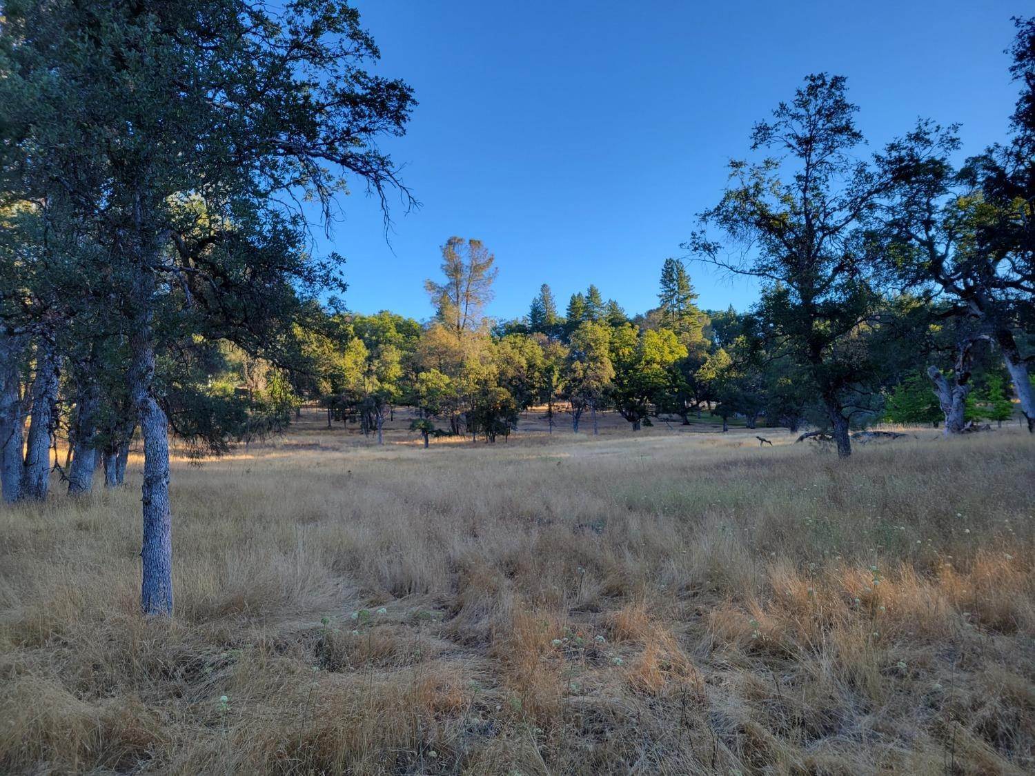 3. Land for Active at 4545 Chapparal Drive Placerville, California 95667 United States