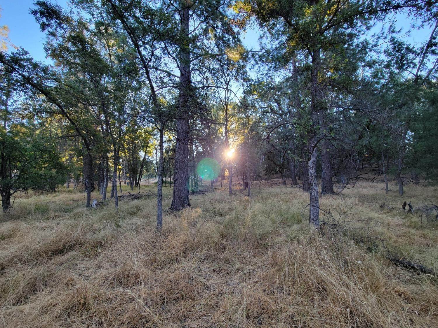4. Land for Active at 4545 Chapparal Drive Placerville, California 95667 United States