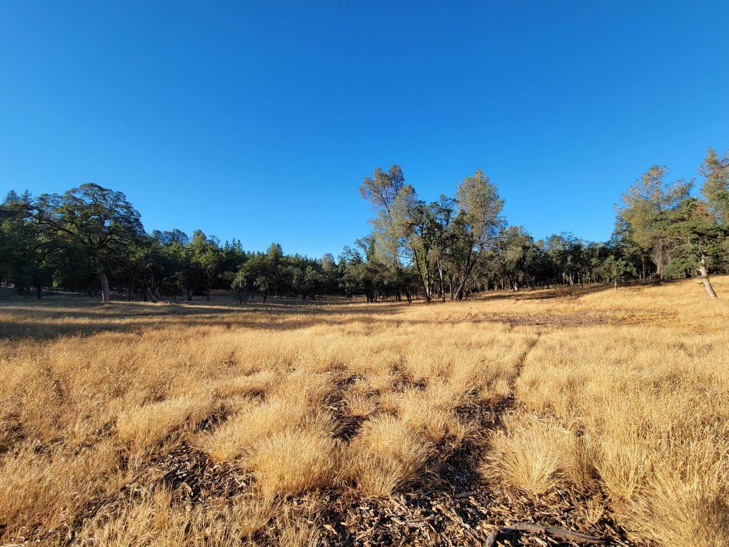 8. Land for Active at 4545 Chapparal Drive Placerville, California 95667 United States