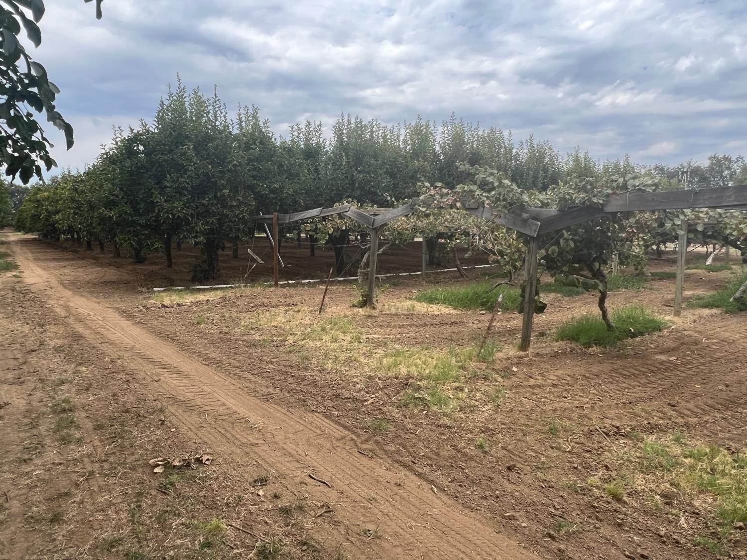 7. Land for Active at 1934 W Biggs Gridley Road Gridley, California 95948 United States