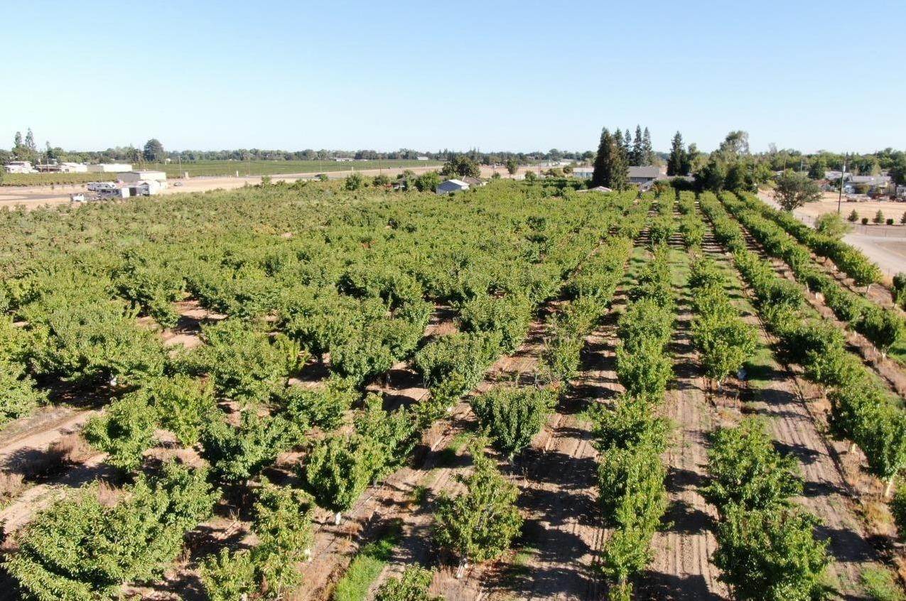 Agricultural Land 为 销售 在 11094 E State route 12 Lockeford, 加利福尼亚州 95237 美国