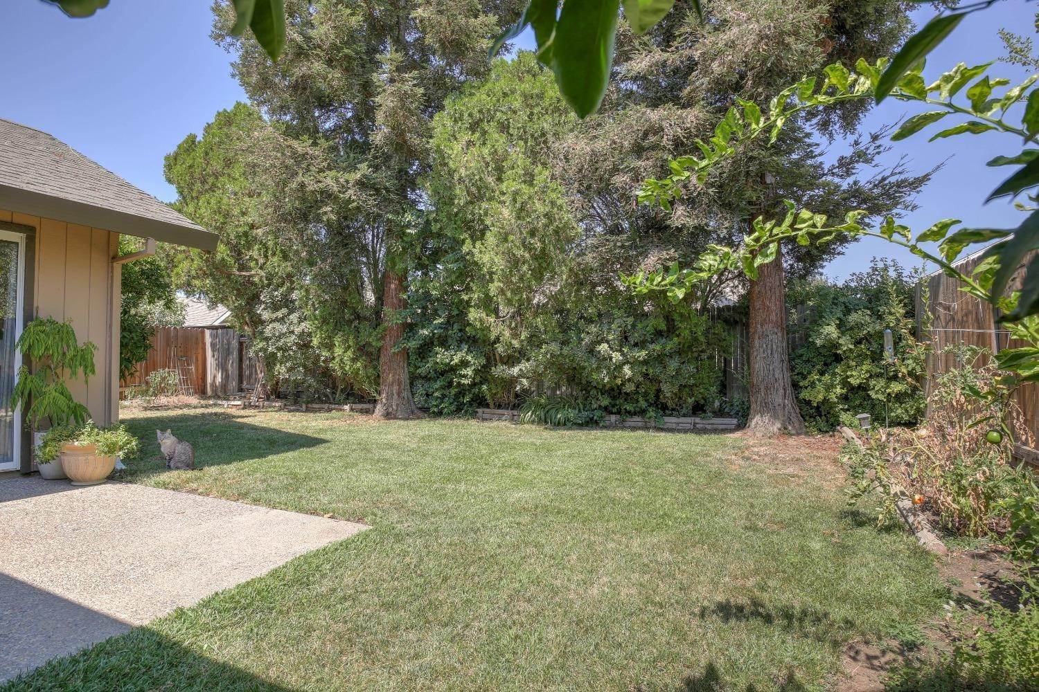 2. Single Family Homes for Active at 1411 Coolidge Drive Woodland, California 95776 United States