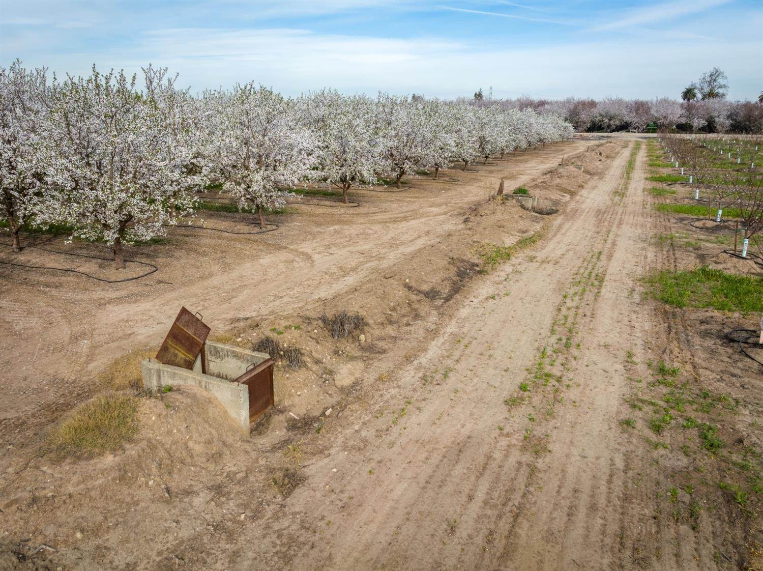 9. Agricultural Land for Active at Hart Road Modesto, California 95358 United States