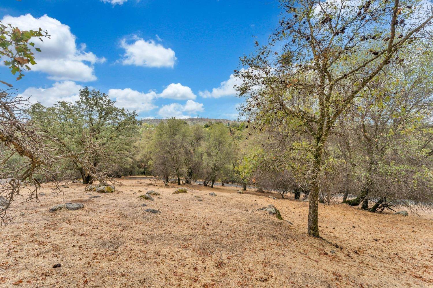 46. Land for Active at 1215 Boot Hill Lane Newcastle, California 95658 United States