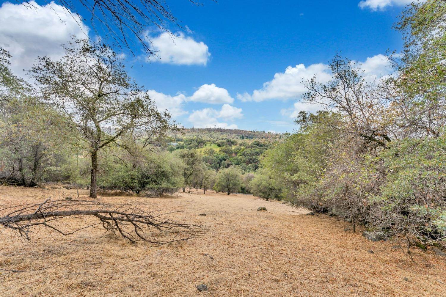 30. Land for Active at 1215 Boot Hill Lane Newcastle, California 95658 United States