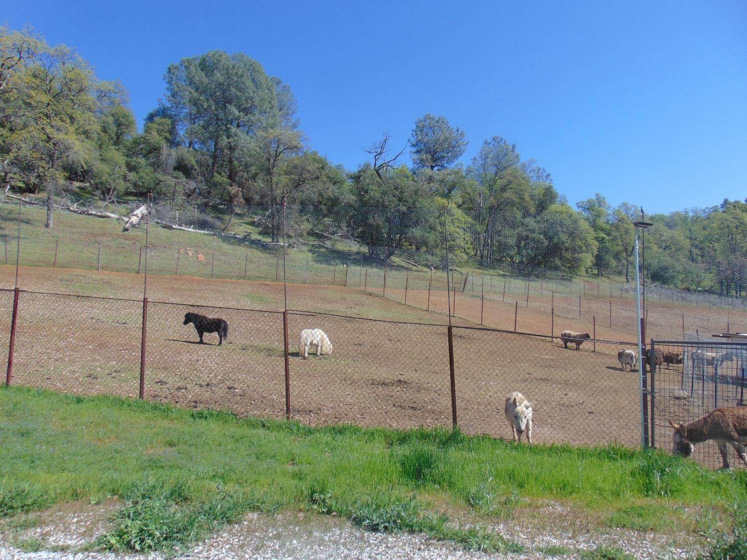9. Agricultural Land for Active at 16811 E Anderson Road Tuolumne, California 95379 United States