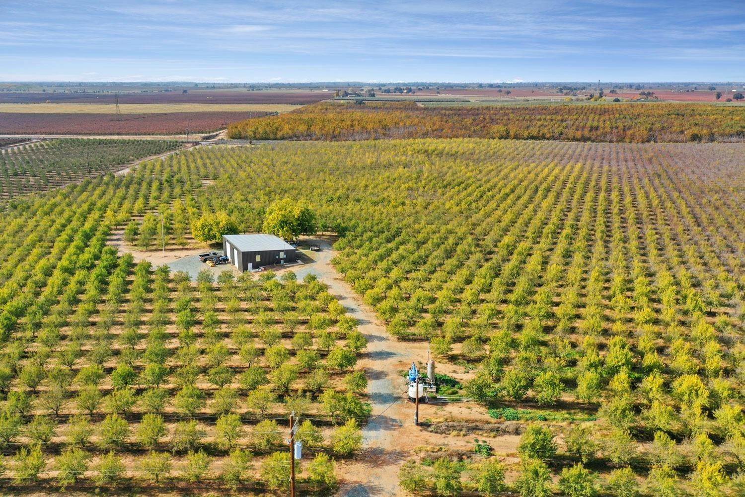 37. Agricultural Land for Active at 14310 Clements Road Lodi, California 95240 United States