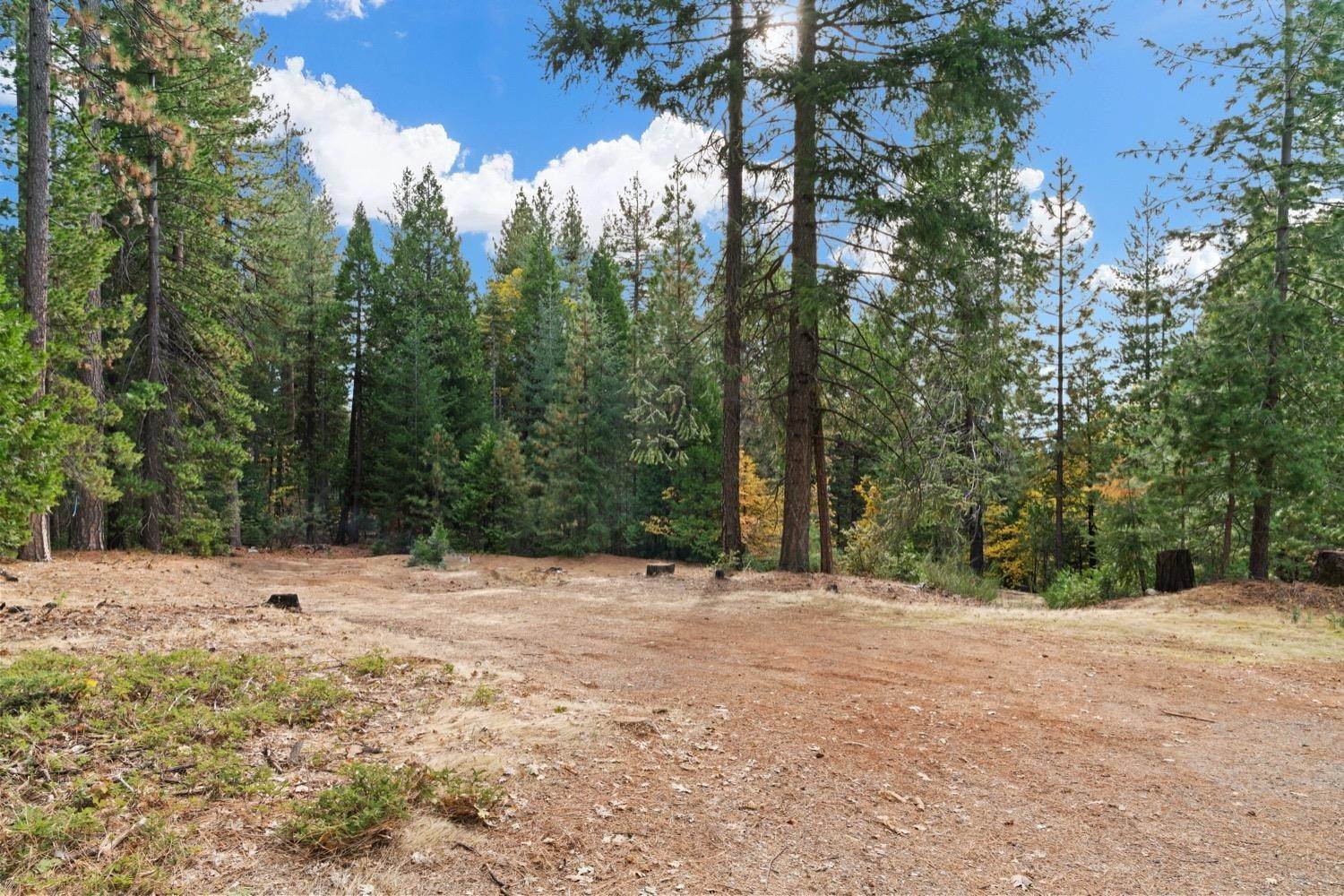 43. Single Family Homes for Active at 2025 King Of The Mountain Court Pollock Pines, California 95726 United States
