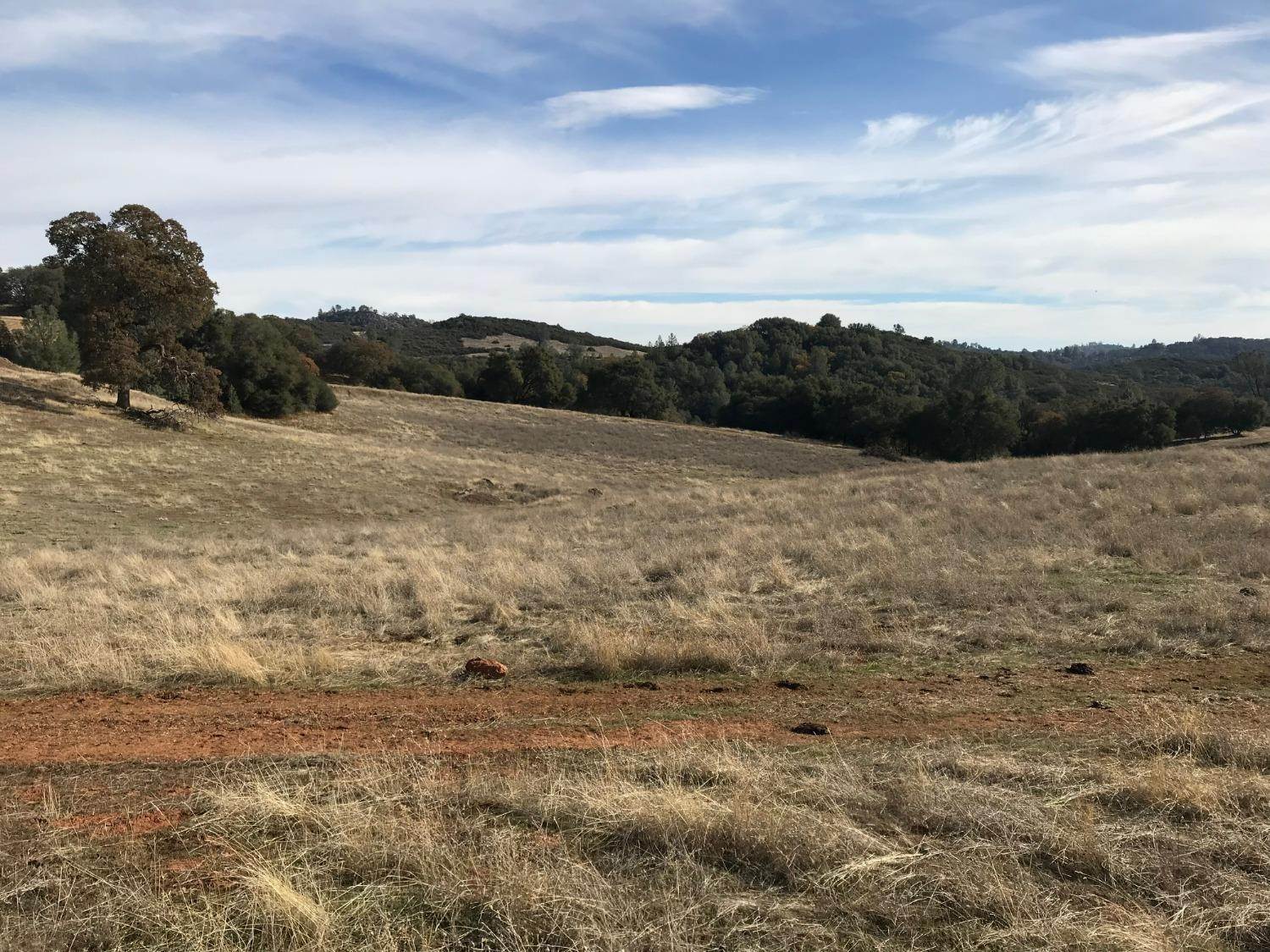 Land for Active at 1751* Lotus Road Placerville, California 95667 United States