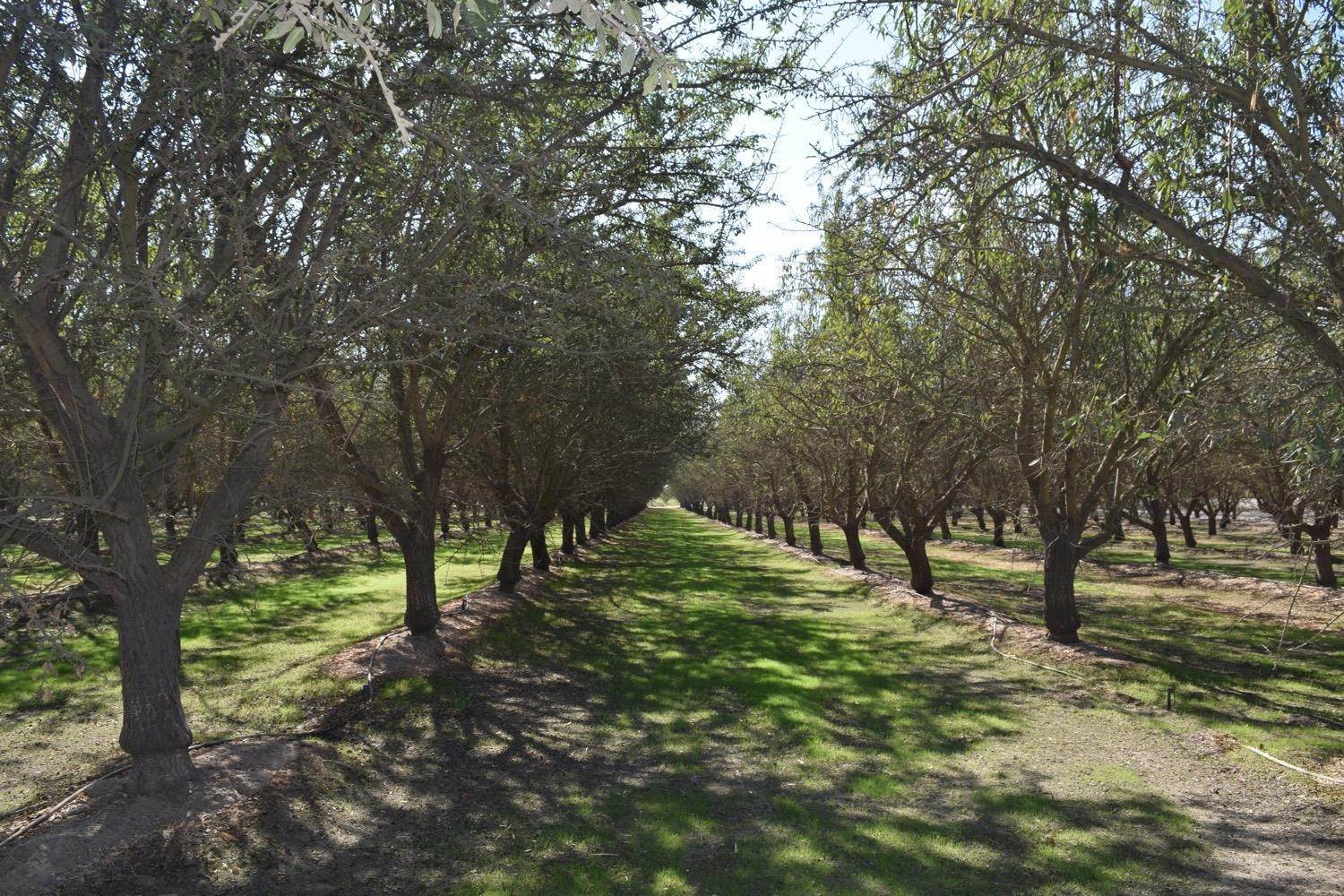 3. Agricultural Land for Active at Berkeley Avenue Hughson, California 95326 United States