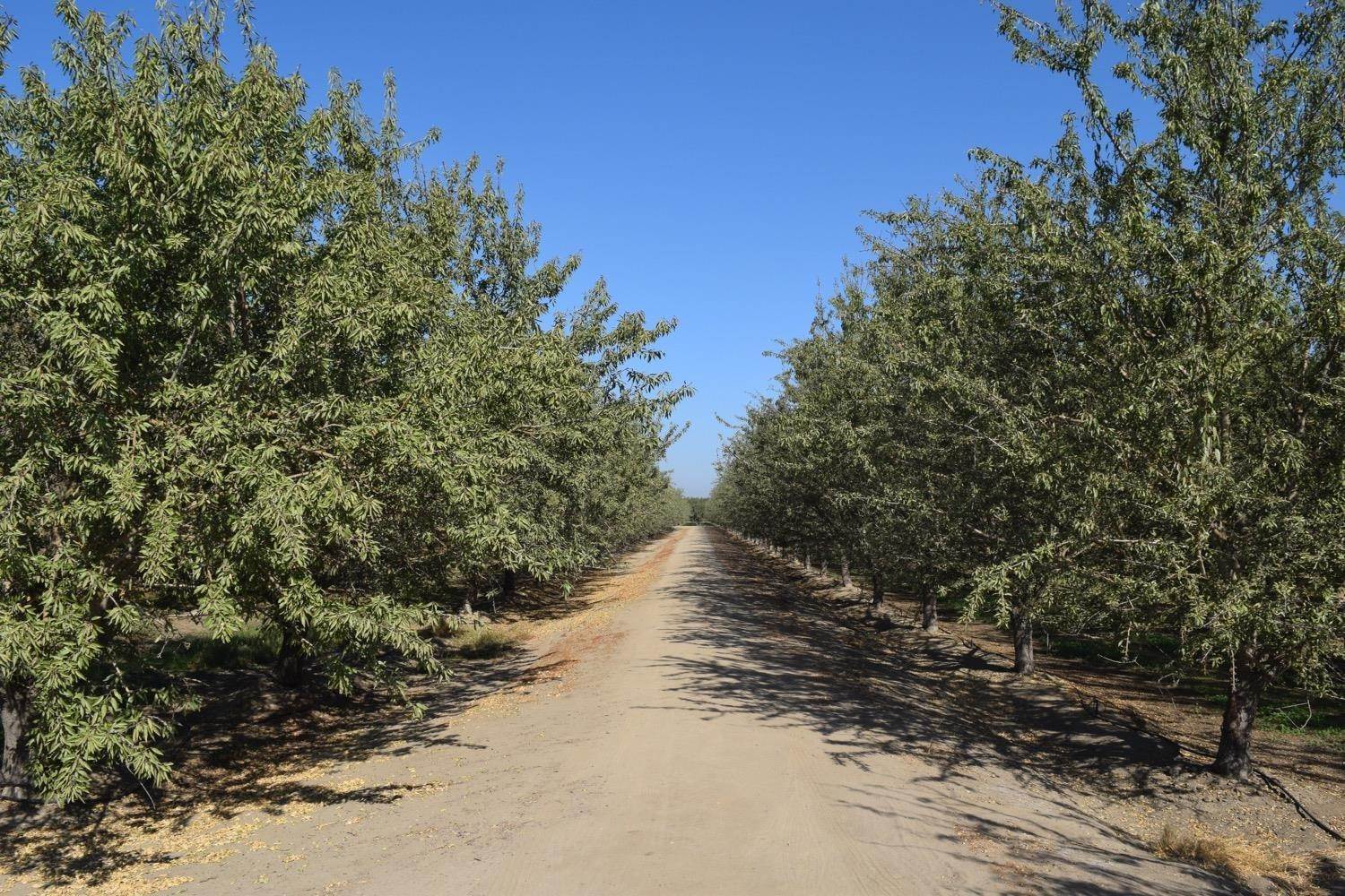 1. Agricultural Land for Active at Berkeley Avenue Hughson, California 95326 United States
