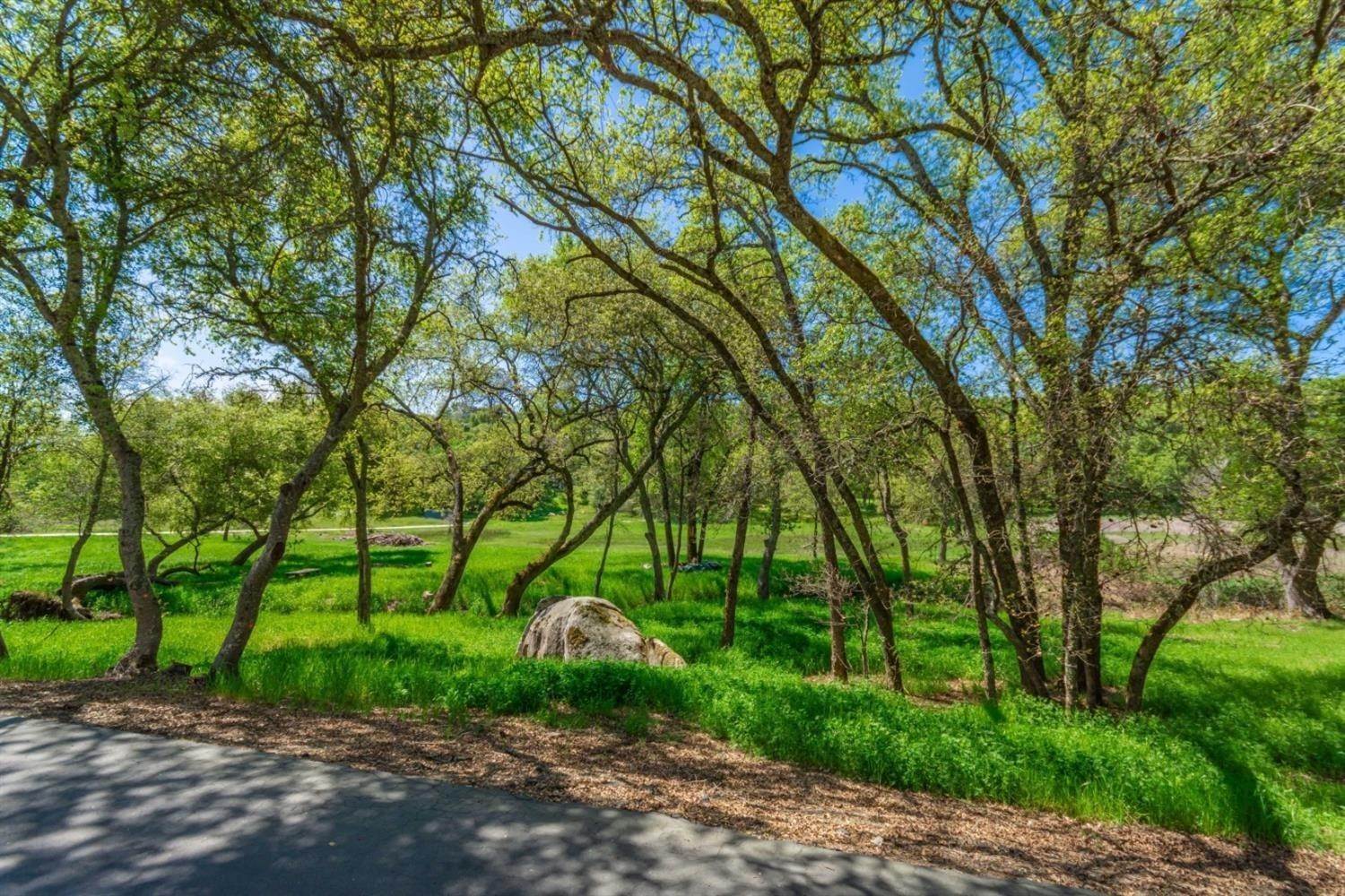 6. Land for Active at 2250 Creekside Lane Loomis, California 95650 United States