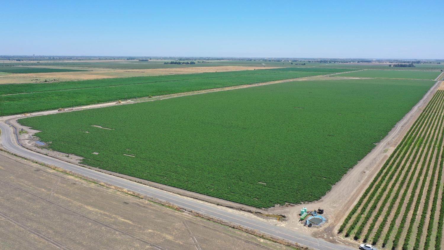 Agricultural Land 为 销售 在 13650 S Crocker Road 斯托克顿市, 加利福尼亚州 95206 美国