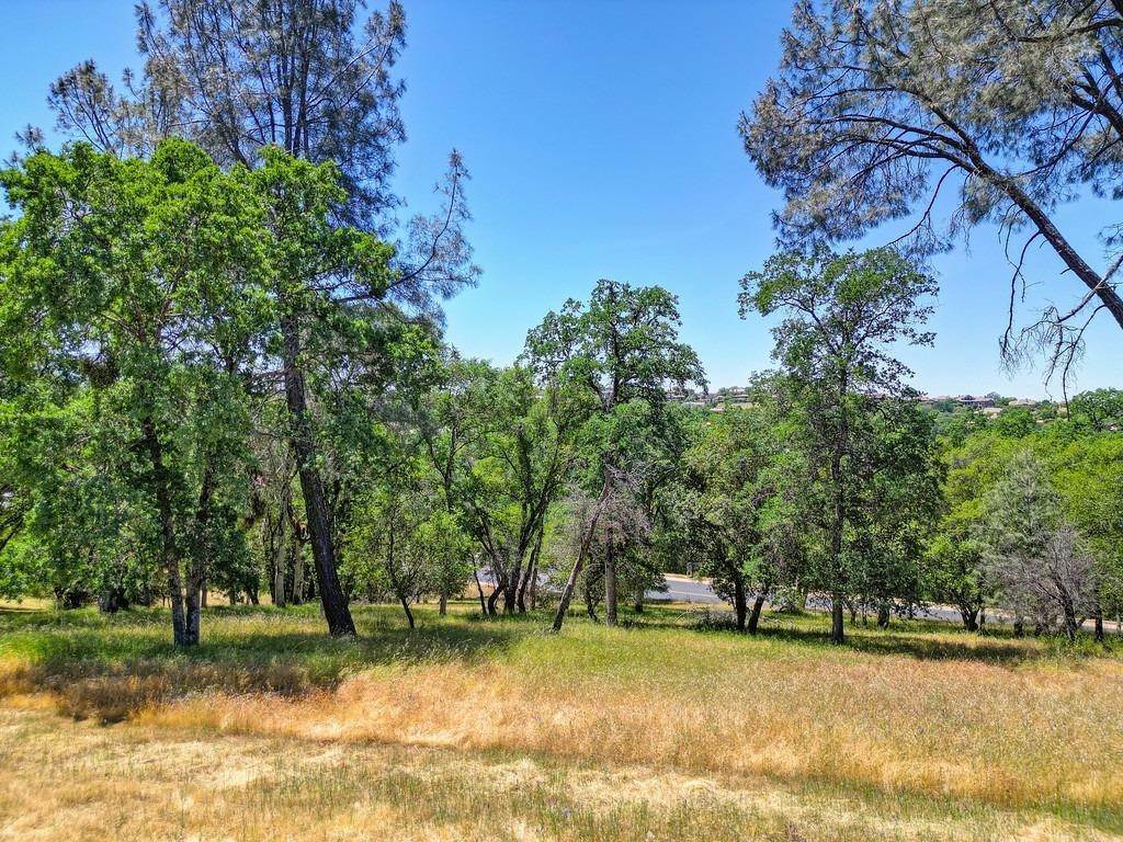 5. Land for Active at 4005 Raphael Drive El Dorado Hills, California 95762 United States