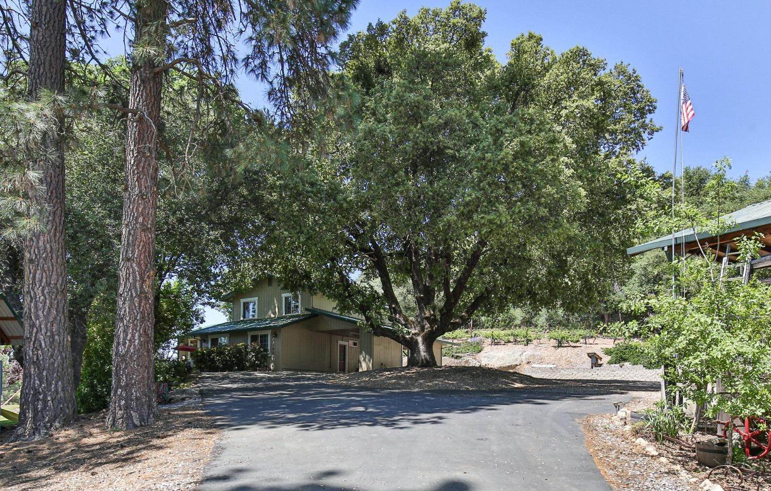 1. Single Family Homes for Active at 3320 Horseshoe Bend Road Somerset, California 95684 United States