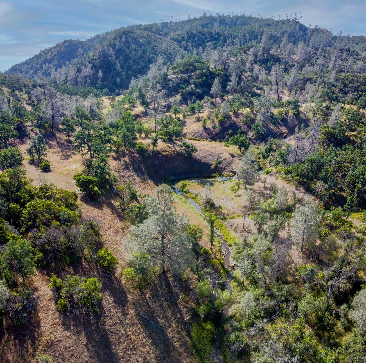 15. Land for Active at 10275 Balis Bell Road Red Bluff, California 96080 United States