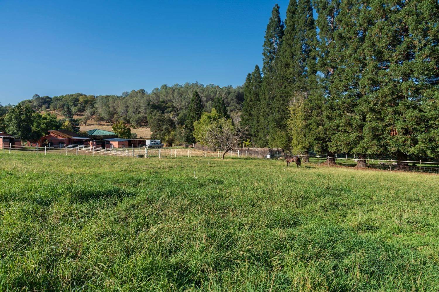 17. Single Family Homes for Active at 13587 Garden Bar Road Grass Valley, California 95949 United States