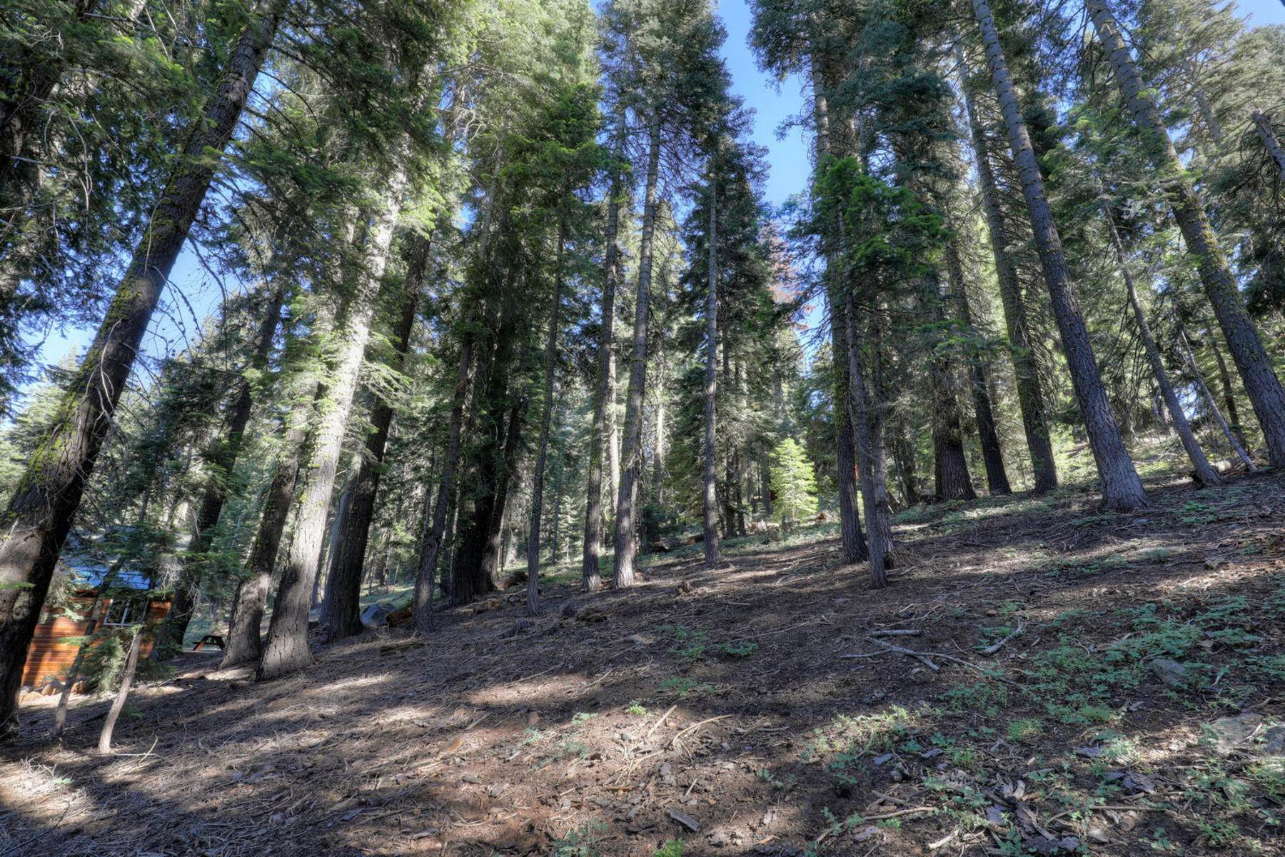 9. Land for Active at Truckee Donner Dream 14281 Herringbone Way Truckee, California 96161 United States